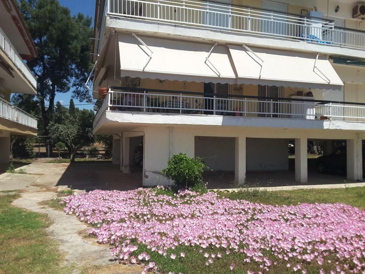 Metamorphosis - Halkidiki Apartment On The Beach Метаморфоси Екстериор снимка